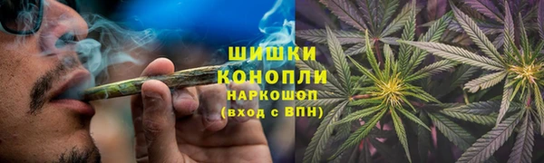 a pvp Белокуриха