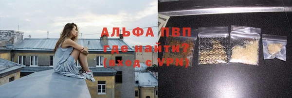 a pvp Белокуриха