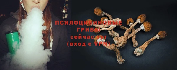 a pvp Белокуриха