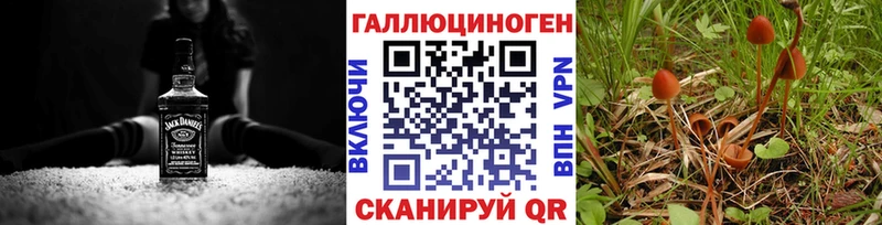 Псилоцибиновые грибы MAGIC MUSHROOMS  Ачхой-Мартан 